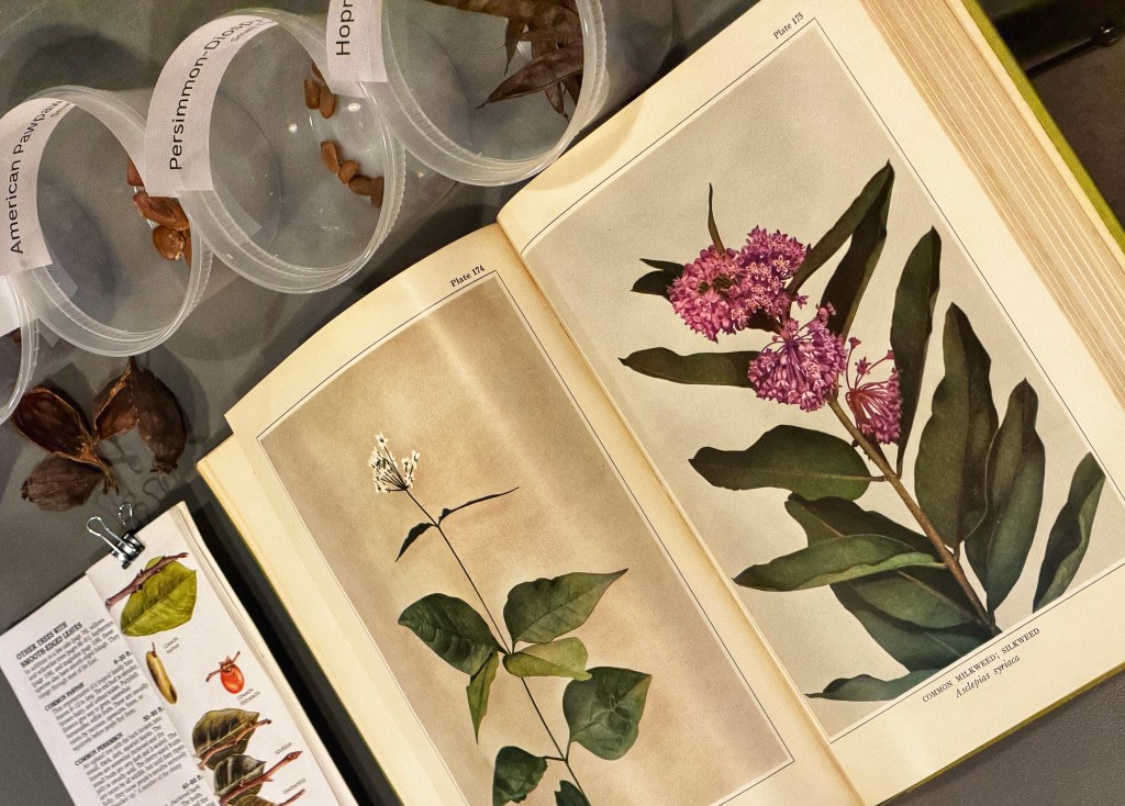 Winter Sowing: It’s Easy, Affordable and a Great Way to Start Your Native Plants.