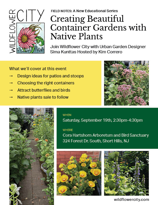 Field Notes: A New Educational Series-Container Gardens with Native Plants