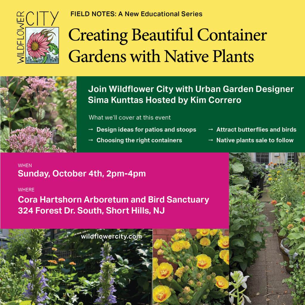 Field Notes: A New Educational Series-Container Gardens with Native&nbsp;Plants